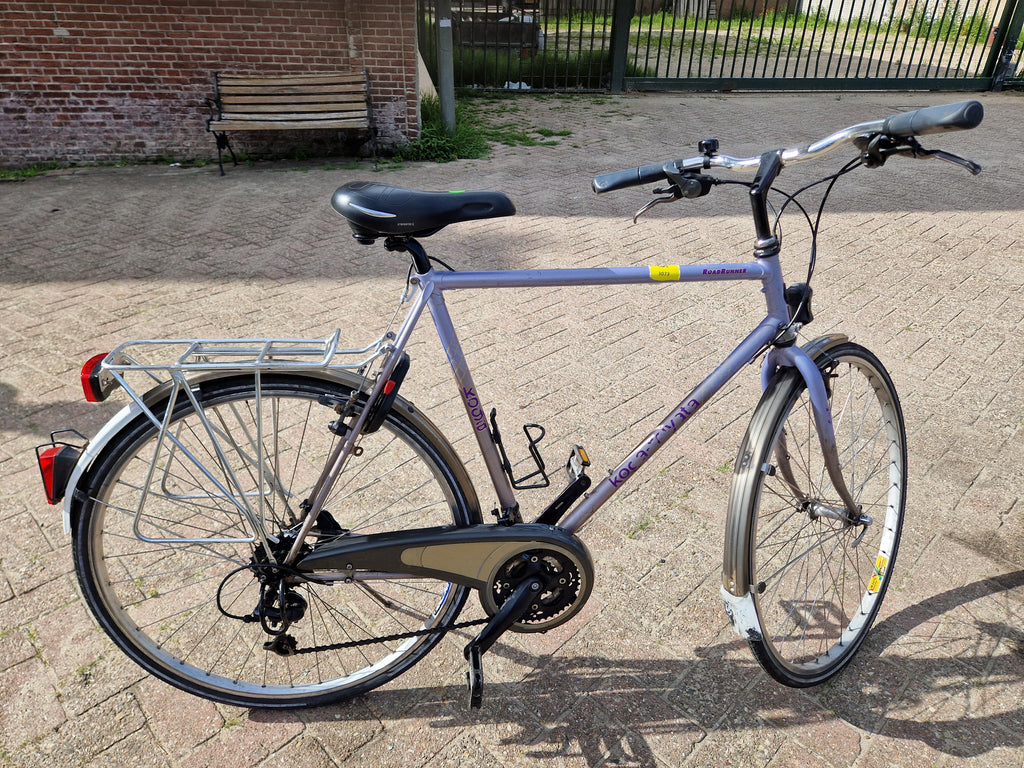 Koga Miyata Road Runner Herenfiets – 28 inch – Paars